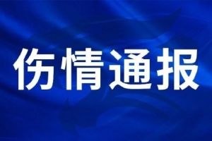 世界杯直播_cctv世界杯高清直播_免费世界杯直播在线观看
