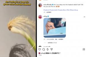 美加墨世界杯直播_世界杯免费直播在线直播_世界杯视频直播高清无插件