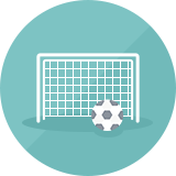 罗克福德猛禽